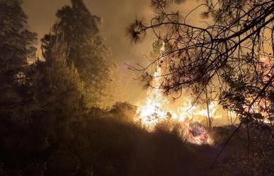 Incendios forestales: El 33% se concentra en cinco municipios en Edoméx