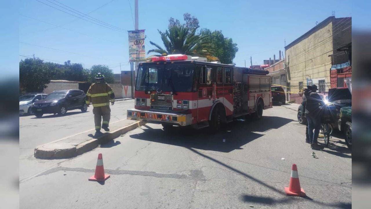 Derriban vientos 17 árboles y 10 anuncios en Durango
