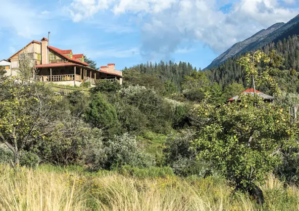 ¿Vas a ir a la Sierra de Arteaga? Te dejamos estas recomendaciones para pasear