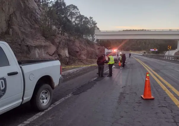Muere arrollado en la supercarretera Durango - Mazatlán