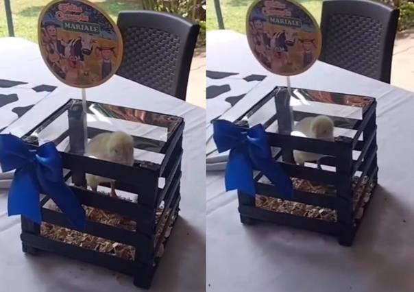 Usan pollitos como centros de mesa en fiesta, enfurecen en redes sociales