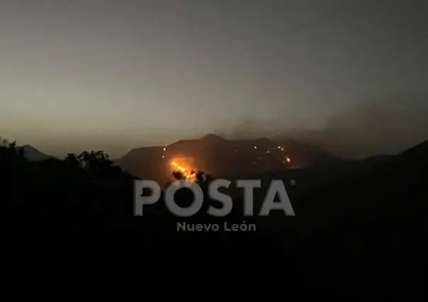 “Vigilaremos de cerca el incendio durante esta noche”: Alcalde de Zaragoza