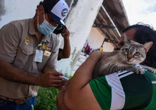 Muere abuelito que fue mordido por un gato con rabia