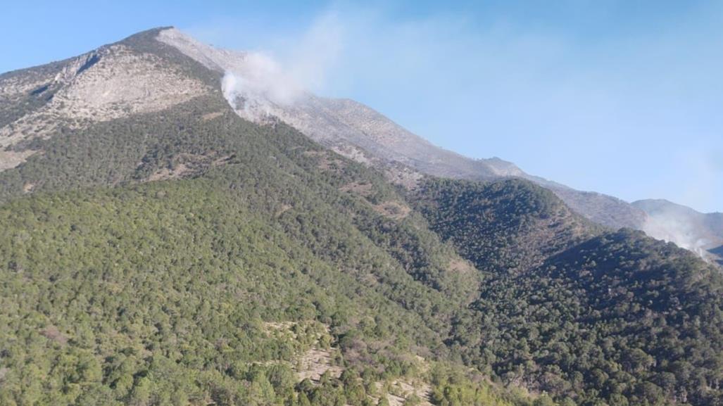 Incendio en Zaragoza ha consumido 60 hectáreas