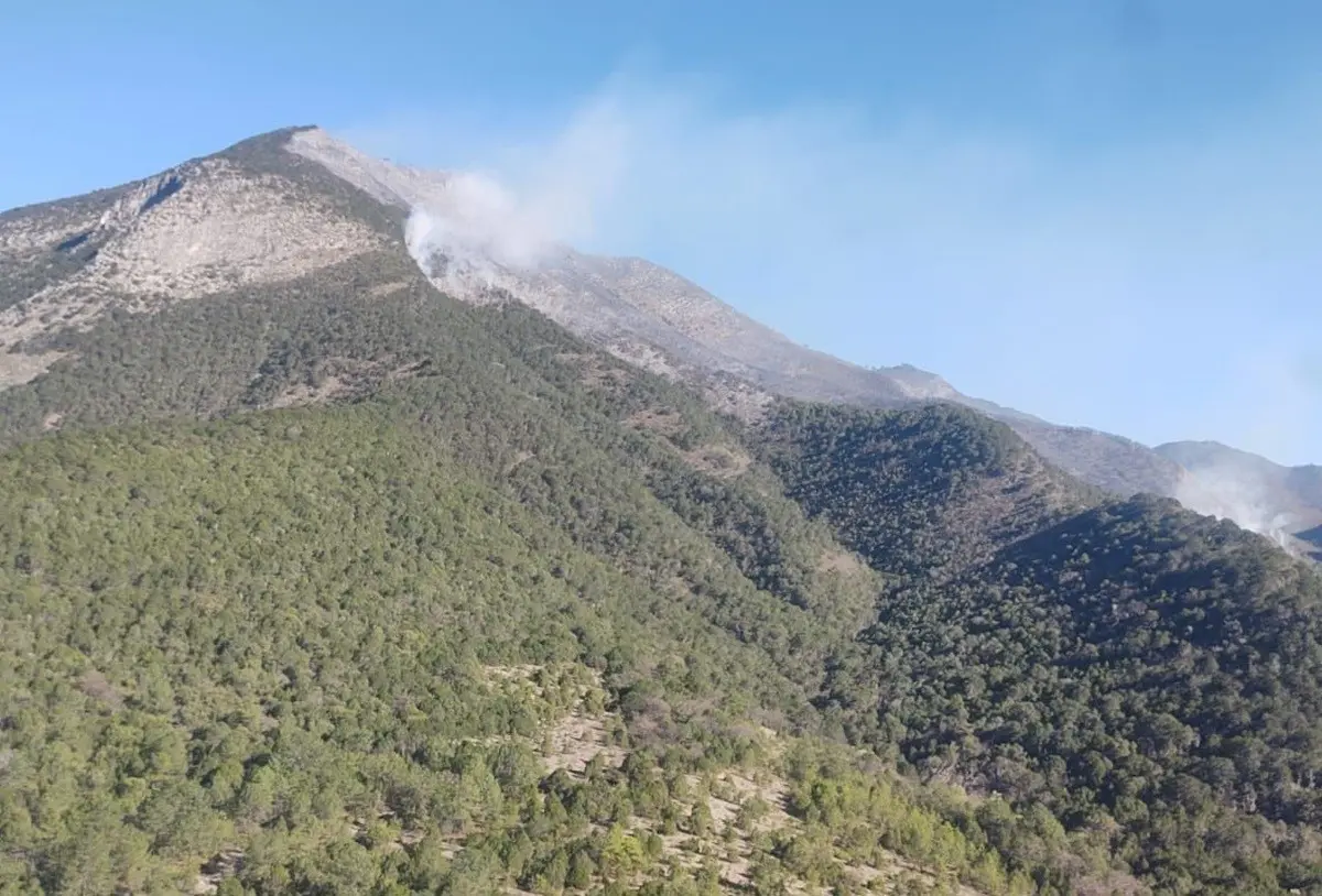 Alrededor de 80 elementos se encuentran combatiendo el fuego al sur del estado. Foto: Protección Civil de Nuevo León