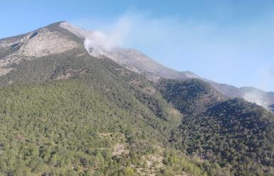 Incendio en Zaragoza ha consumido 60 hectáreas