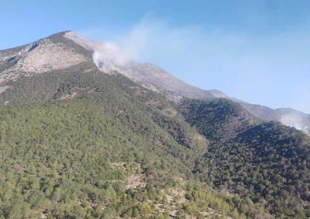 Incendio en Zaragoza ha consumido 60 hectáreas