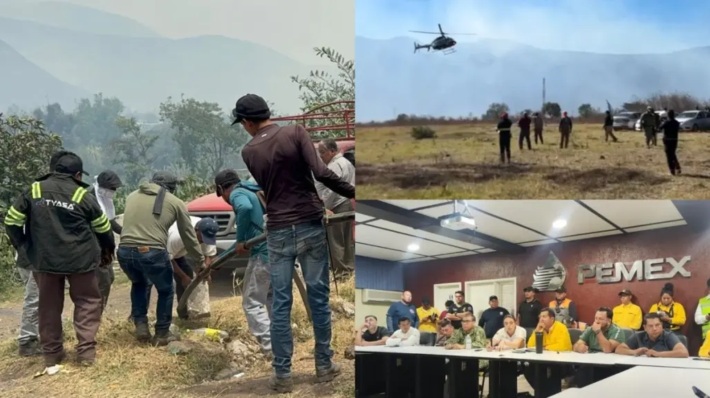 Fuego consume 620 hectáreas de Altas Montañas en Veracruz