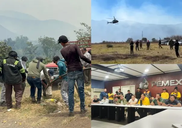 Fuego consume 620 hectáreas de Altas Montañas en Veracruz