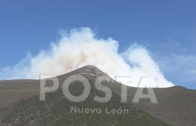 “Incendios en Zaragoza son por desatención en cuidado de cabras”: Alcalde