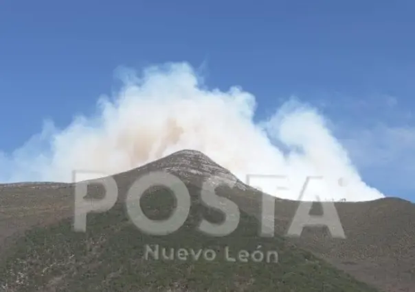 “Incendios en Zaragoza son por desatención en cuidado de cabras”: Alcalde