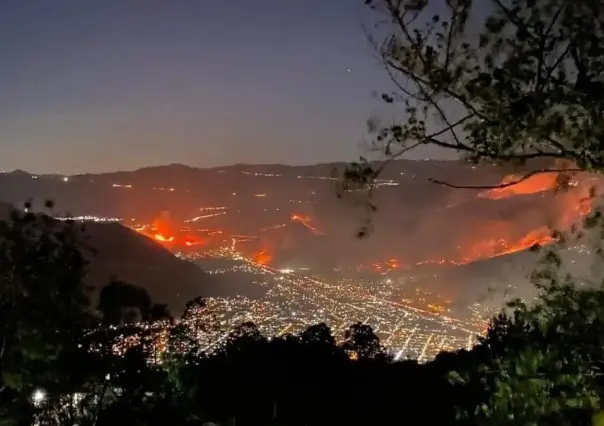 Consume incendio forestal más de 600 hectáreas en montañas de Veracruz