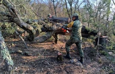 Apoya Sedena en mitigación de incendio en Miquihuana