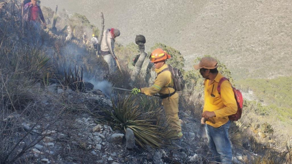 Suman 80 hectáreas consumidas por incendio en Zaragoza