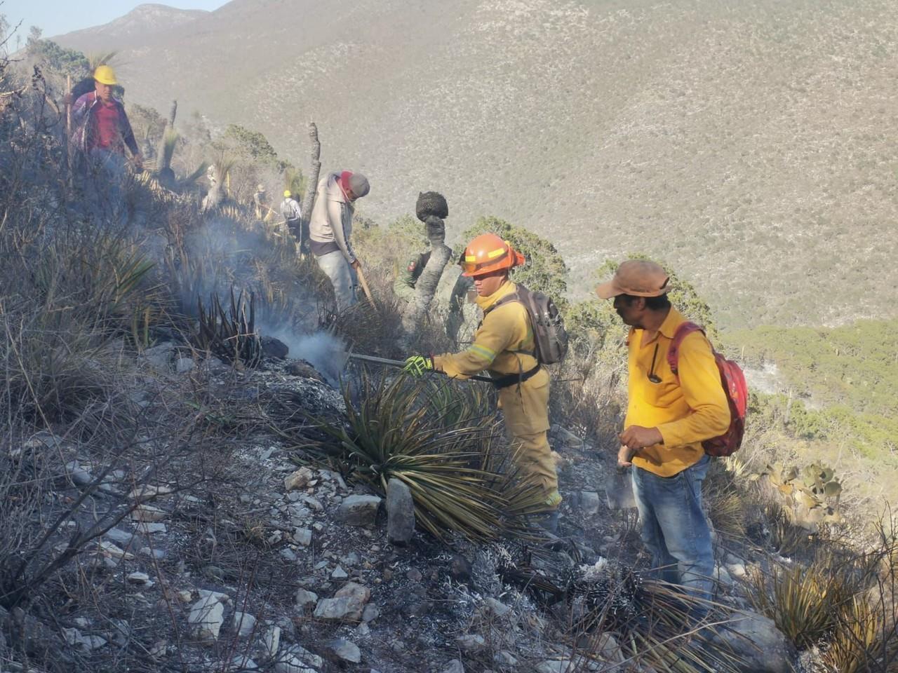 Suman 80 hectáreas consumidas por incendio en Zaragoza