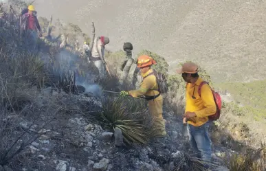 Suman 80 hectáreas consumidas por incendio en Zaragoza