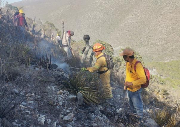 Suman 80 hectáreas consumidas por incendio en Zaragoza