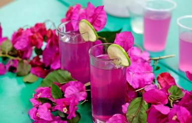 ¿Calor? Mexiquenses crean Limorada: bebida saludable con flor de bugambilia