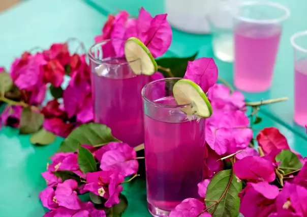 ¿Calor? Mexiquenses crean Limorada: bebida saludable con flor de bugambilia