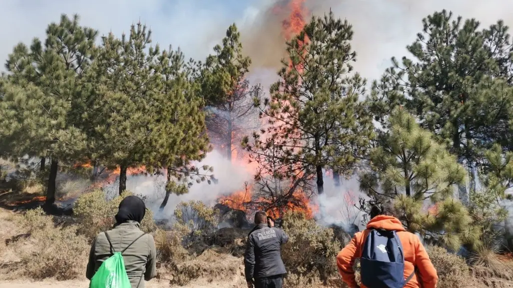 Jilotzingo: Incendios forestales destruyen 600 hectáreas