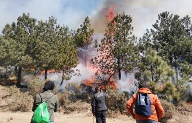 Jilotzingo: Incendios forestales destruyen 600 hectáreas