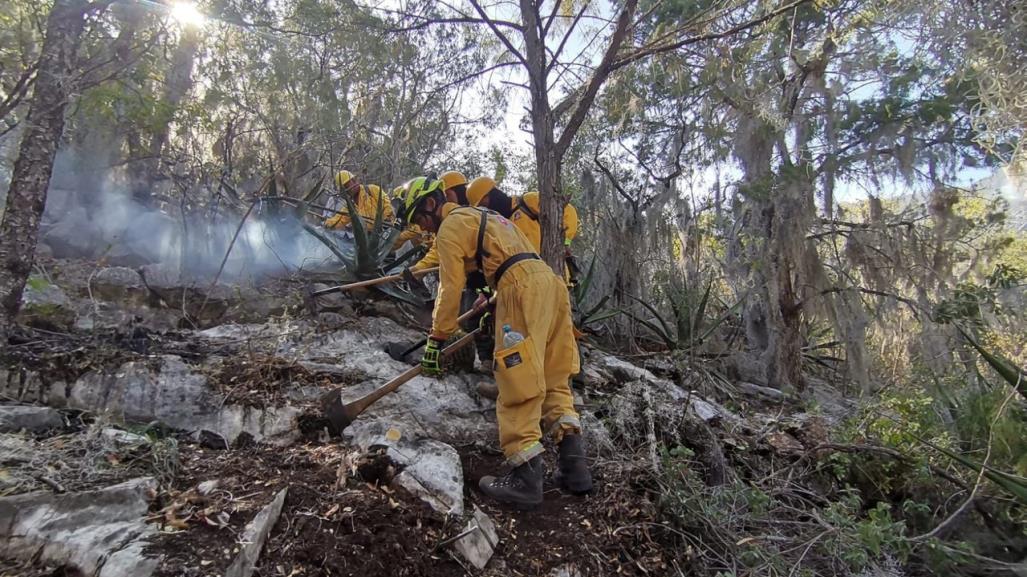 Incendio en Zaragoza, controlado al 70 por ciento: PC