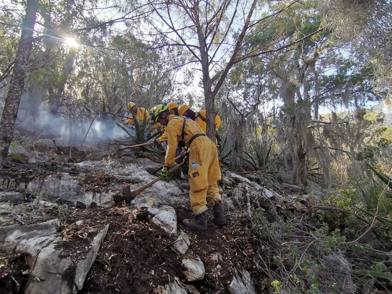 Incendio en Zaragoza, controlado al 70 por ciento: PC