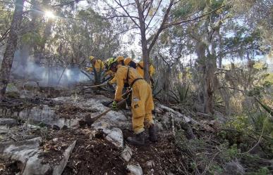 Incendio en Zaragoza, controlado al 70 por ciento: PC