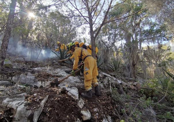 Incendio en Zaragoza, controlado al 70 por ciento: PC