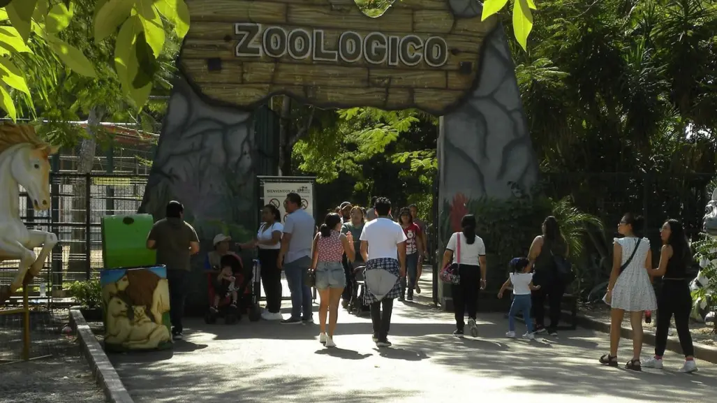 Estiman aumento de visitantes en zoológicos de Mérida durante Semana Santa