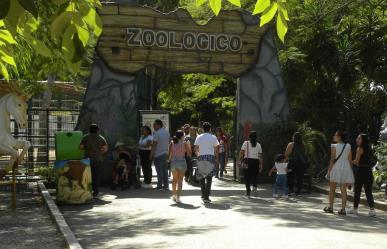 Estiman aumento de visitantes en zoológicos de Mérida durante Semana Santa