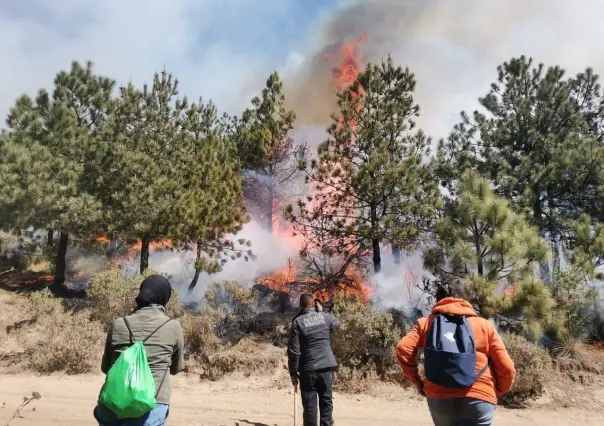 Quinto brigadista fallece en incendios forestales del Edomex