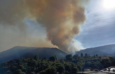 Persisten 24 incendios forestales activos: Gobierno de Edoméx