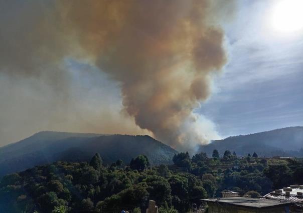 Persisten 24 incendios forestales activos: Gobierno de Edoméx