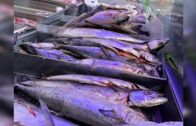 Repuntan las ventas en pescaderías durante la Semana Santa