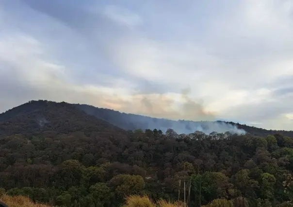 Incendios forestales activos en el Edoméx