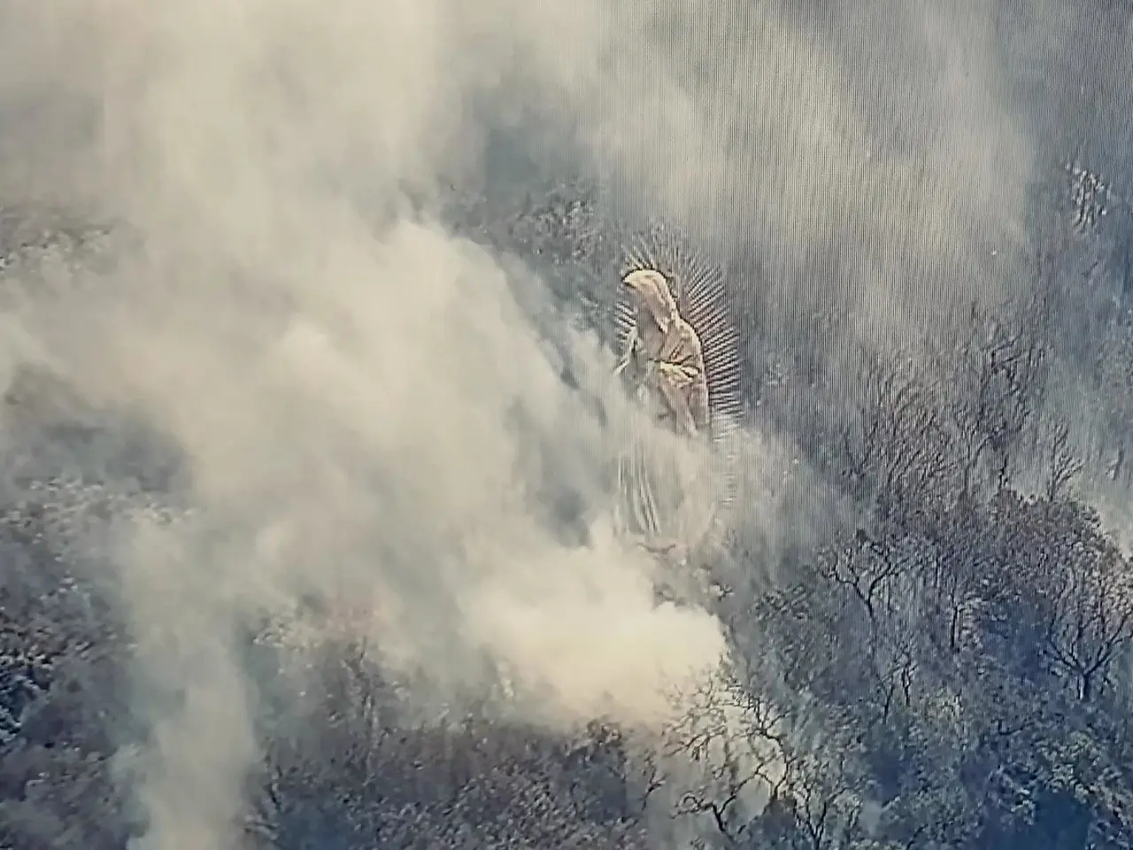 Los daños ocasionados por los incendios no se pueden cuantificar todavía. Foto: Ayto. de Ocuilan