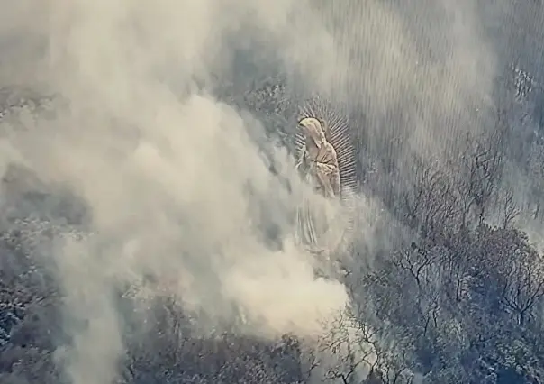 Apagan incendios forestales en cuatro municipios de Edoméx