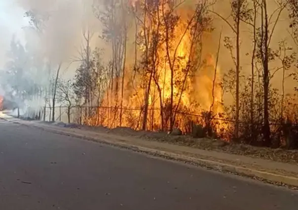 Con torres de vigilancia detectarán incendios forestales en Edoméx