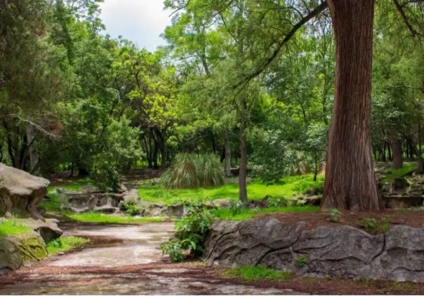 Parques Nacionales en CDMX: disfruta las vacaciones de semana santa