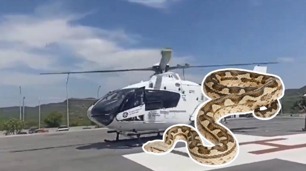 Traslado aéreo por mordedura de serpiente en Santiago (VIDEO)