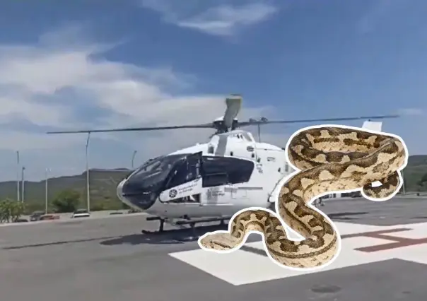 Traslado aéreo por mordedura de serpiente en Santiago (VIDEO)