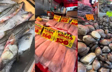 Guía para comprar los productos del mar más frescos en el mercado La Nueva Viga