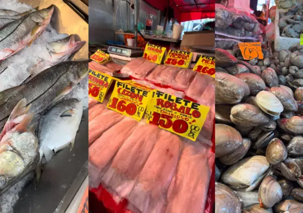 Guía para comprar los productos del mar más frescos en el mercado La Nueva Viga