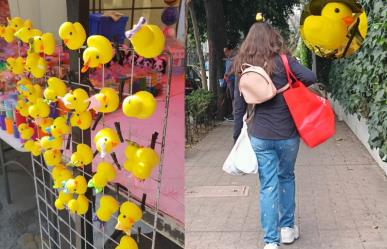 Los Patitos Kawaii: La Tendencia Adorable que Conquista Corazones