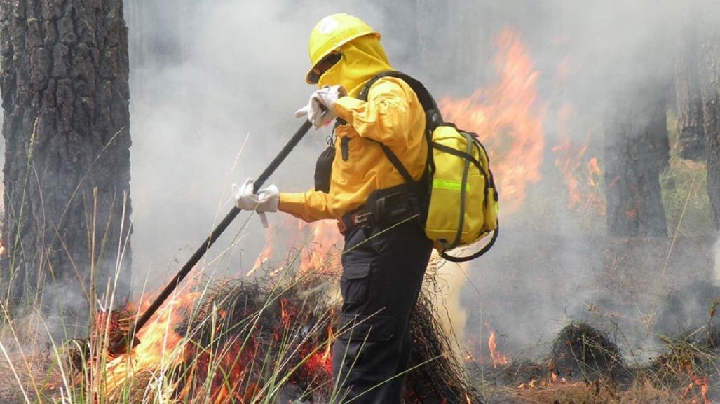 México registra 126 incendios forestales activos: CONAFOR