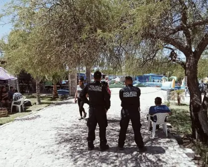Salieron las ratas a hacer de las suyas en vacaciones