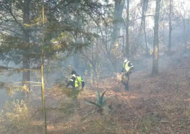 Utiliza SSEM drones de visión térmica para detectar incendios