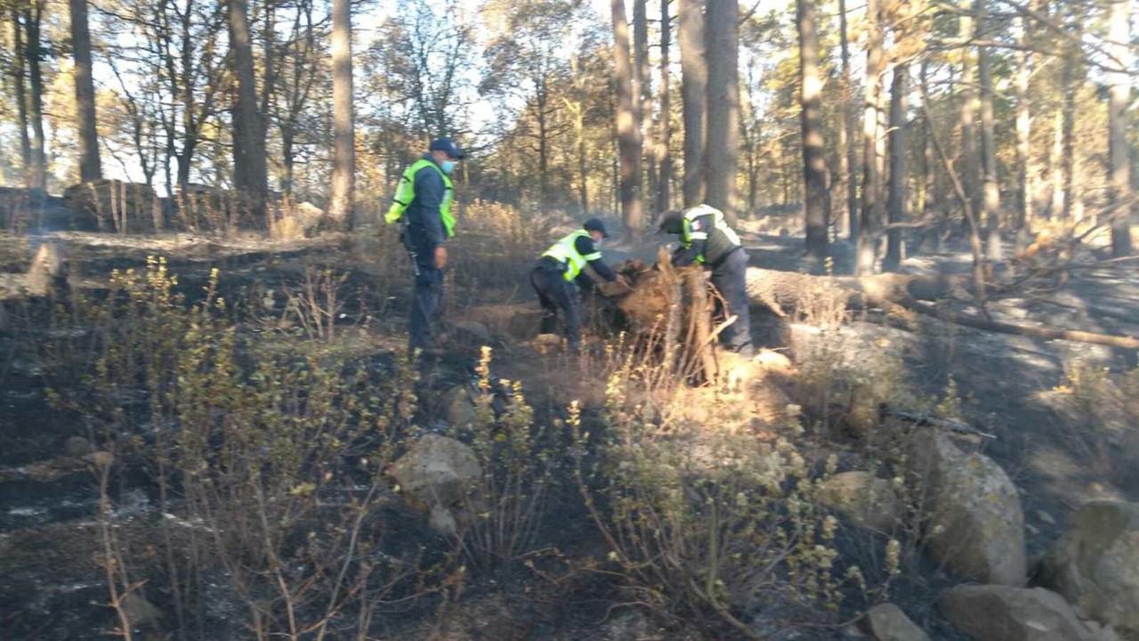Utiliza SSEM drones de visión térmica para detectar incendios