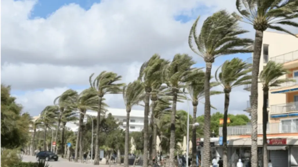 Vientos a lo largo del país: fuertes rachas en México, sumado a calor vespertino